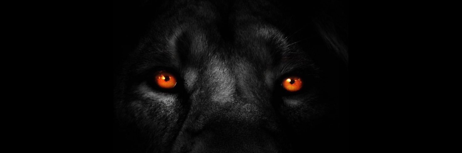 E5ald's profile banner image