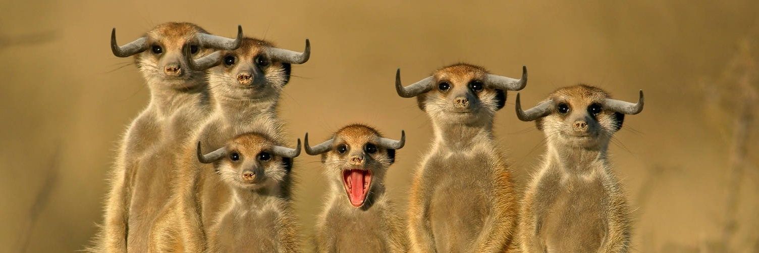 ConradMayhew's profile banner image