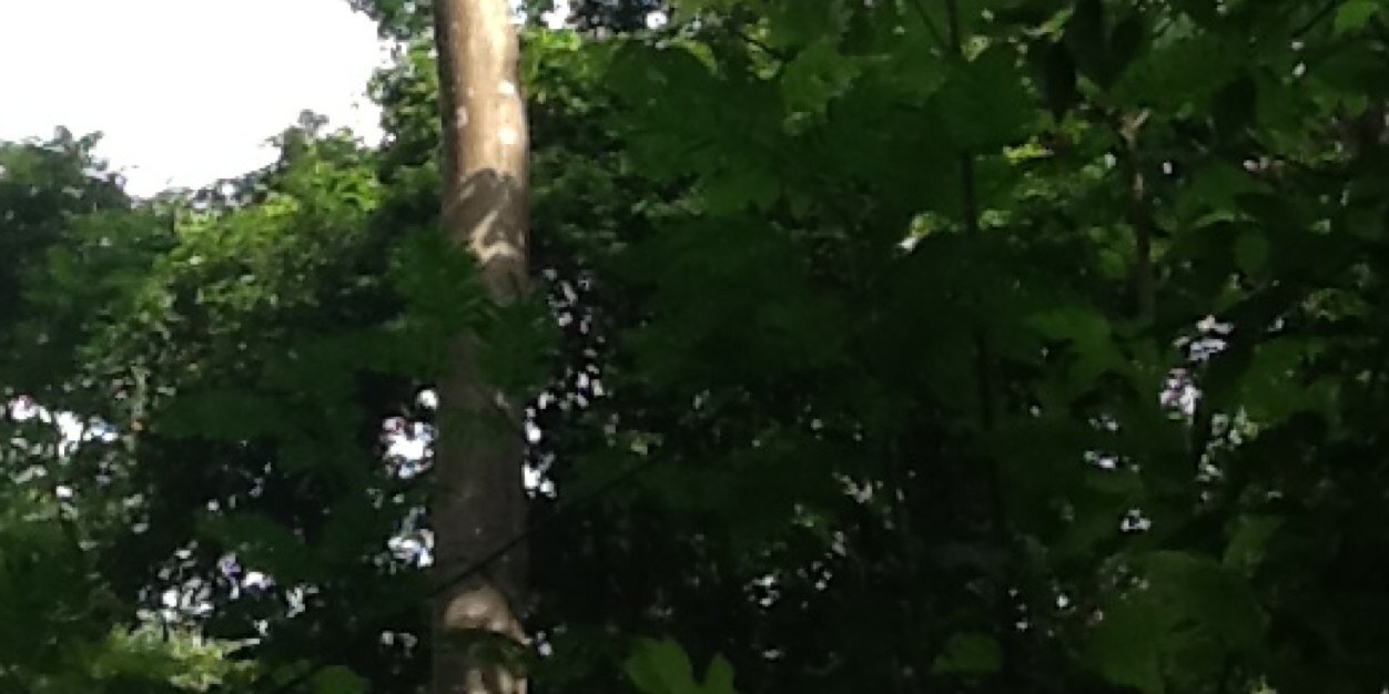 fundahimati's profile banner image