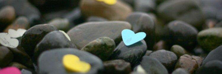 whisperroses's profile banner image