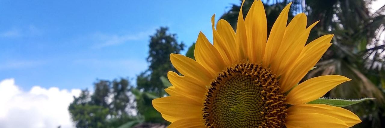 dindahsnlha's profile banner image