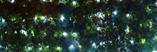 paulalolbeth's profile banner image
