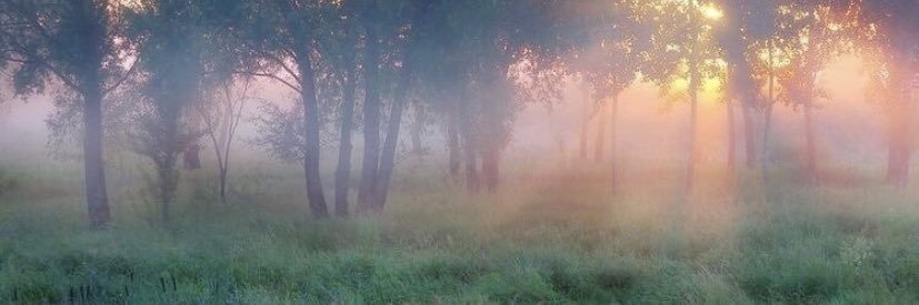 sisisicliff's profile banner image