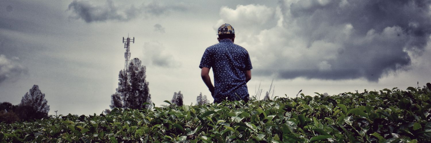 whygobang's profile banner image