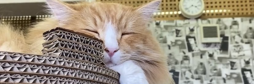 yryr_a's profile banner image