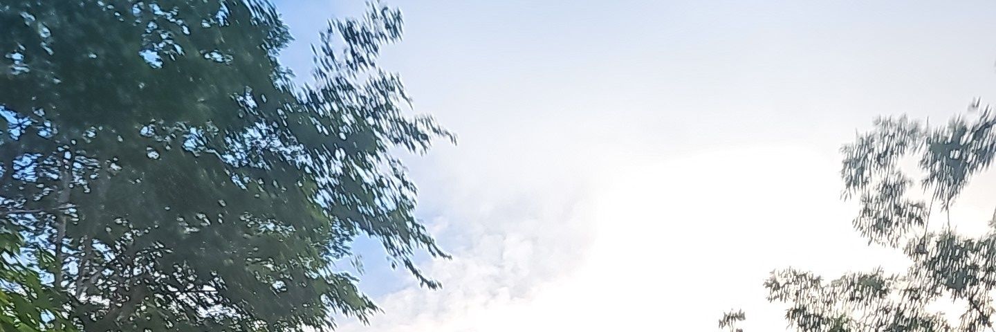BV banner