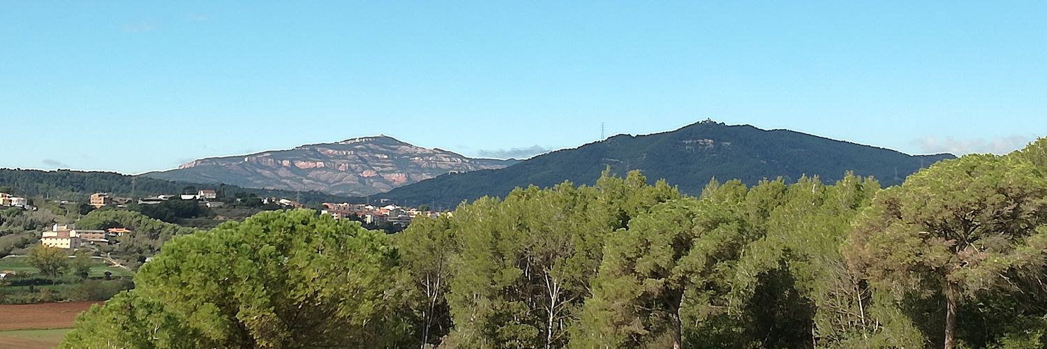manel81's profile banner image