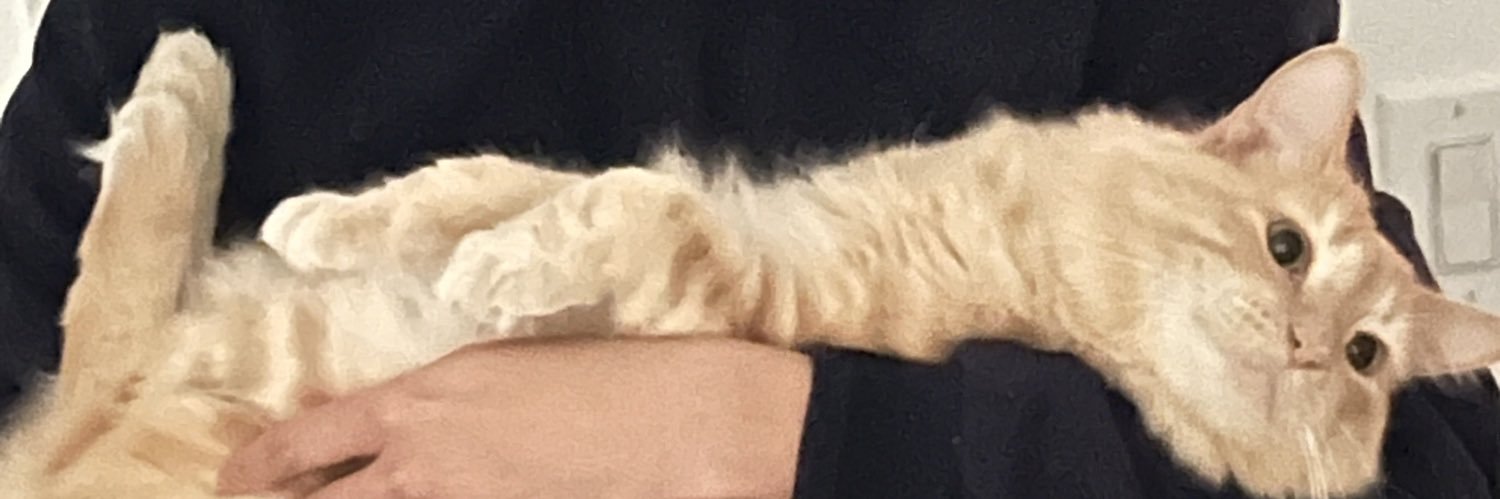 thaiteamami's profile banner image
