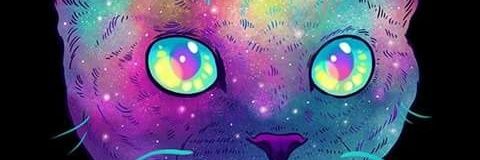 Steffi_Villa1's profile banner image