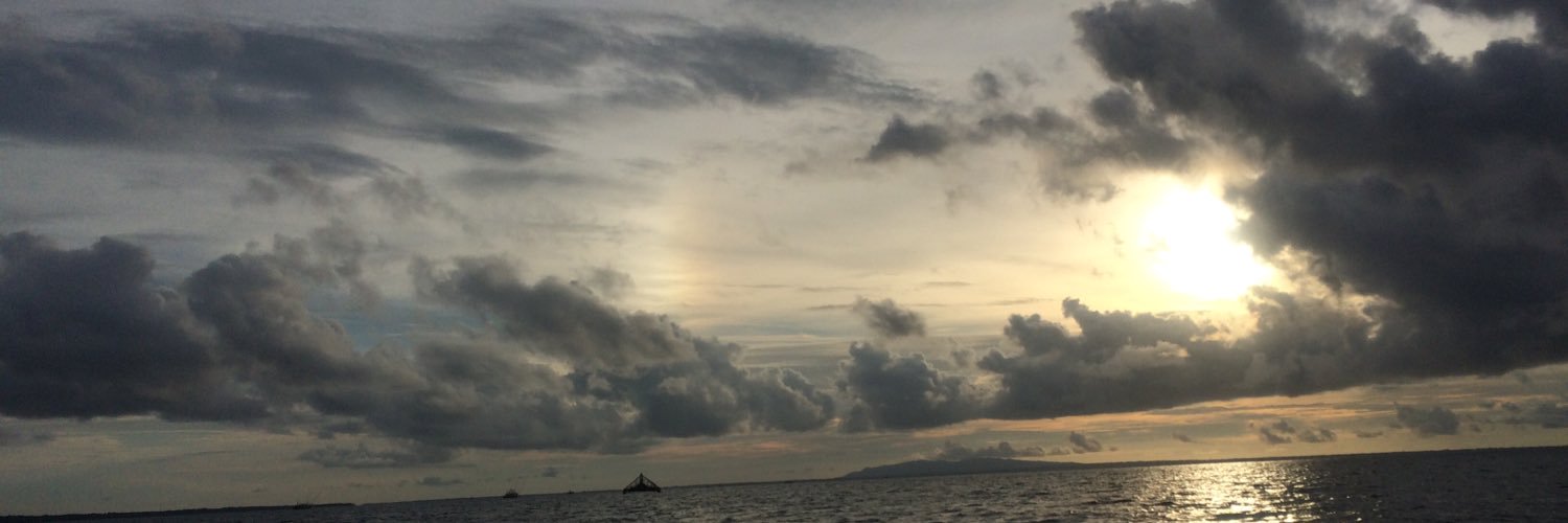 _yoursunflower2's profile banner image