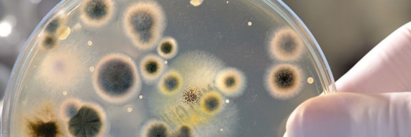 ViralRes Profile Banner