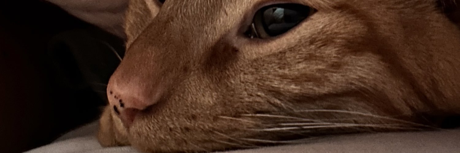 taylorhendy's profile banner image
