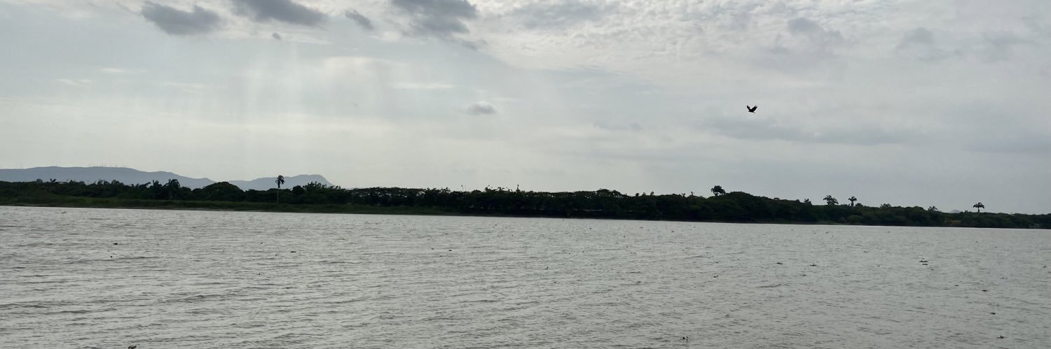 roaguiar1's profile banner image