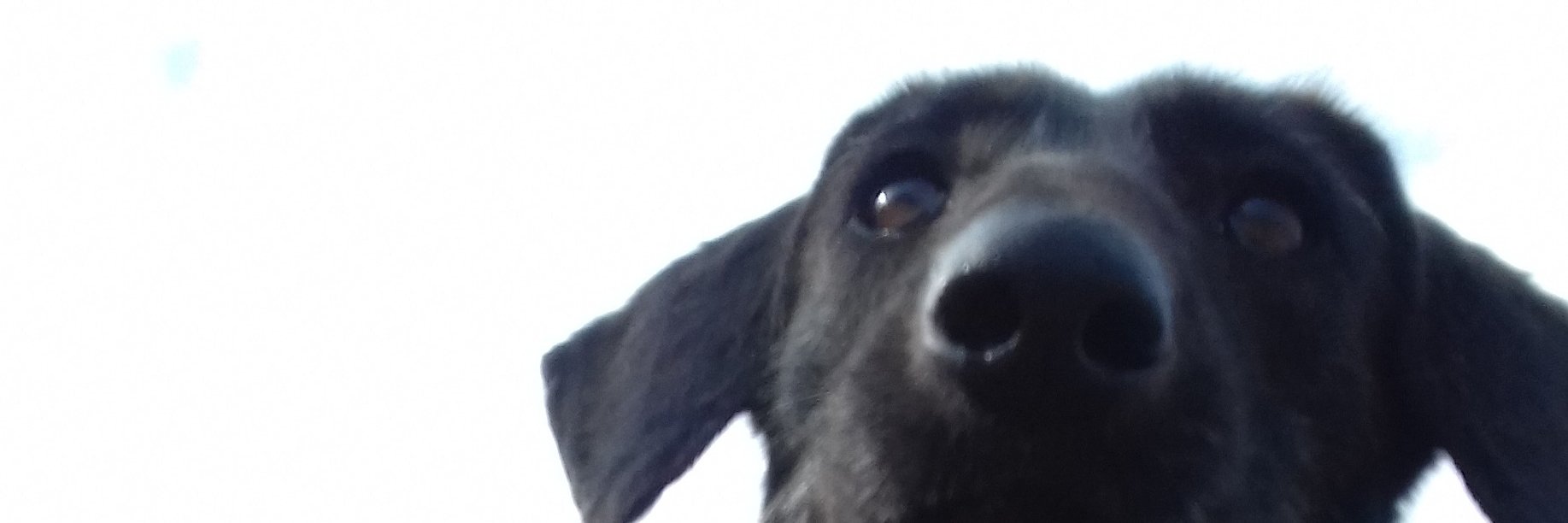 DavidLeigh's profile banner image