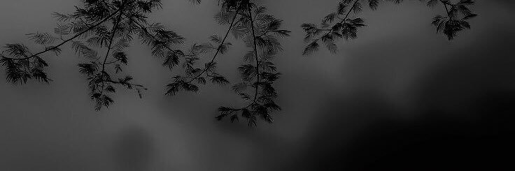 𝖦𝗂𝗌͟𝗁͟𝖾͟𝗂͟𝗋͟𝖺͟. banner