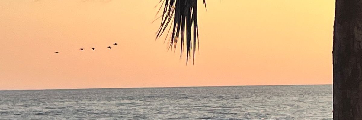 IsidroRL1's profile banner image