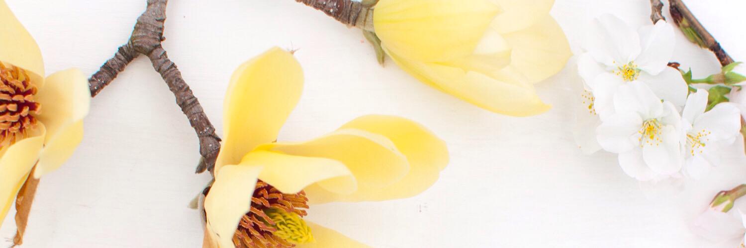 Wearplants's profile banner image