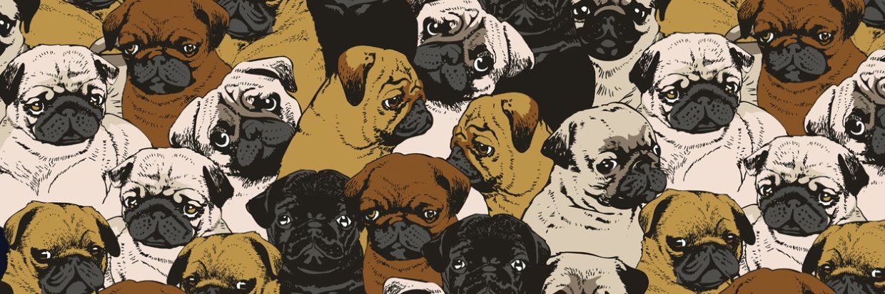 delisyey's profile banner image