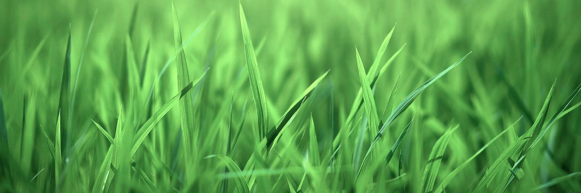vegjournal's profile banner image
