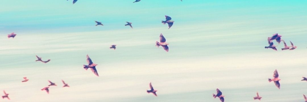 bibbong_'s profile banner image