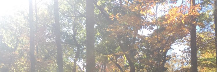 its_lacy's profile banner image