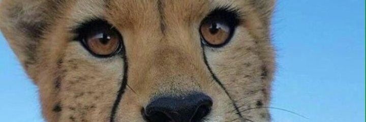 Markfullness's profile banner image