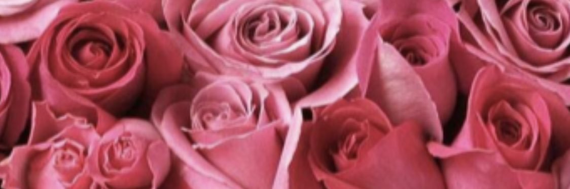 NesssMarie's profile banner image