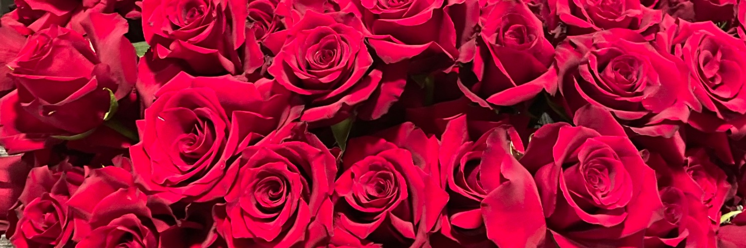 blakelyashton's profile banner image