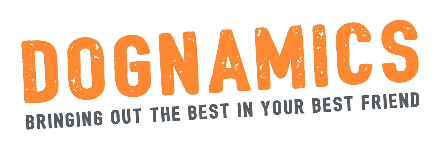 Dognamics's profile banner image