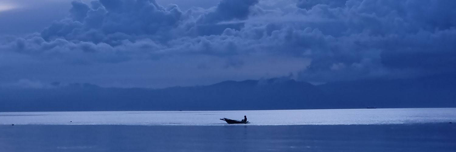 ShannonElnar's profile banner image