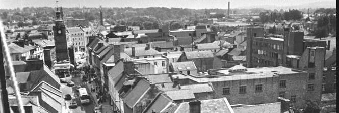 TallBoy Poppy banner