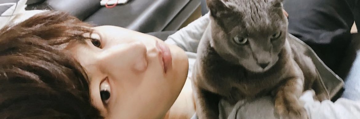 tekupanda's profile banner image