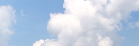 pushpurrr's profile banner image