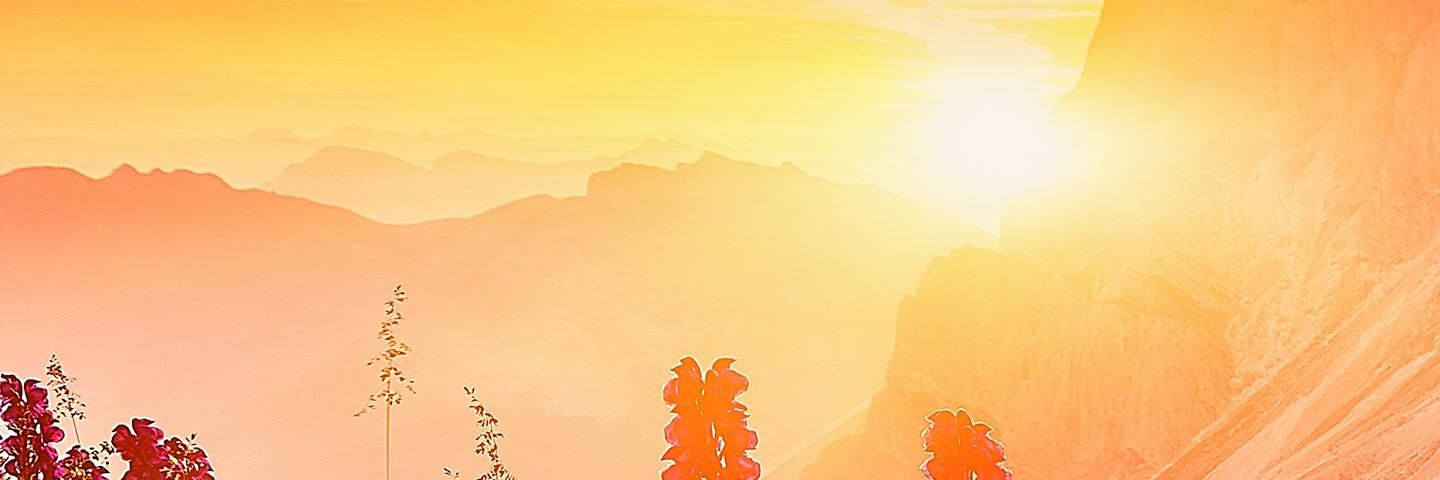 RajaPaki1's profile banner image