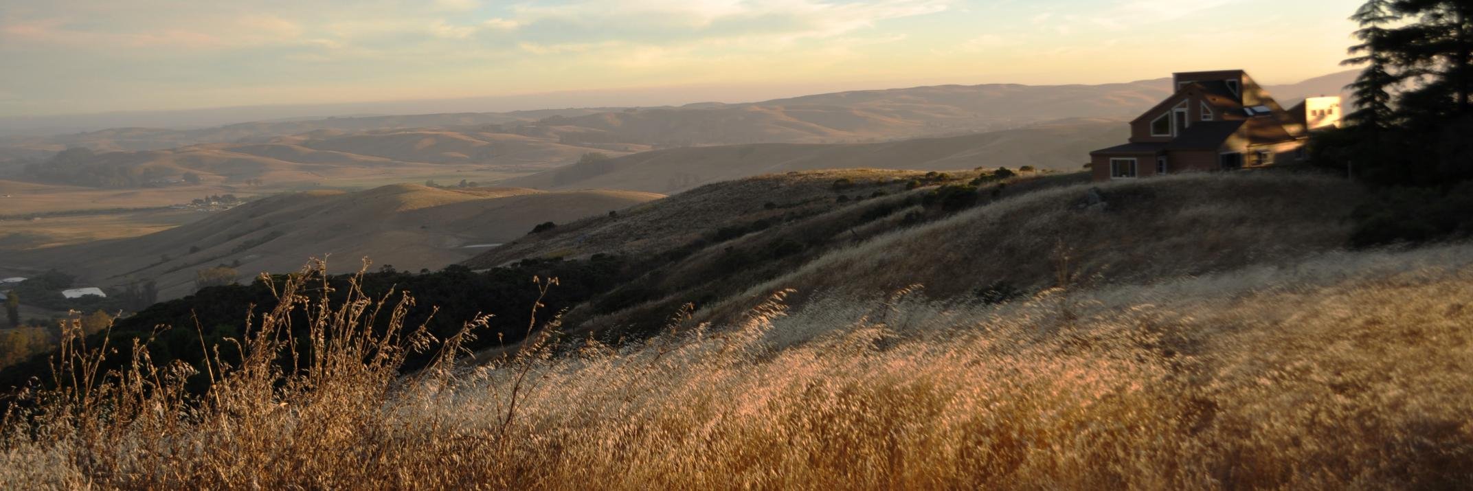 yarrow kubrin banner