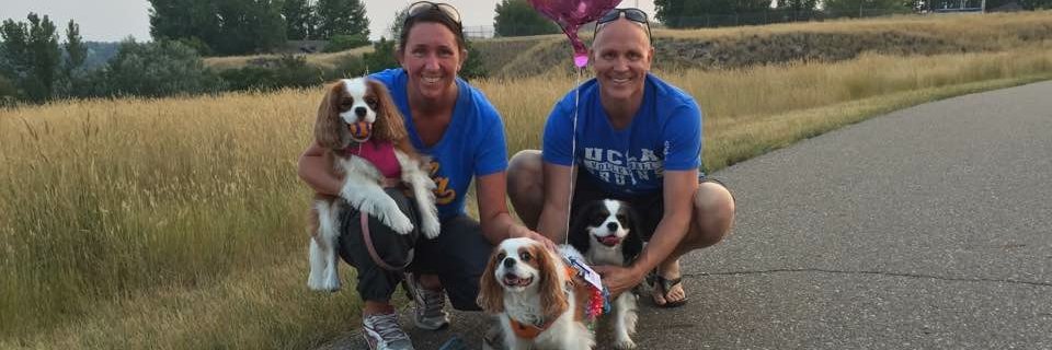 CaviBears's profile banner image