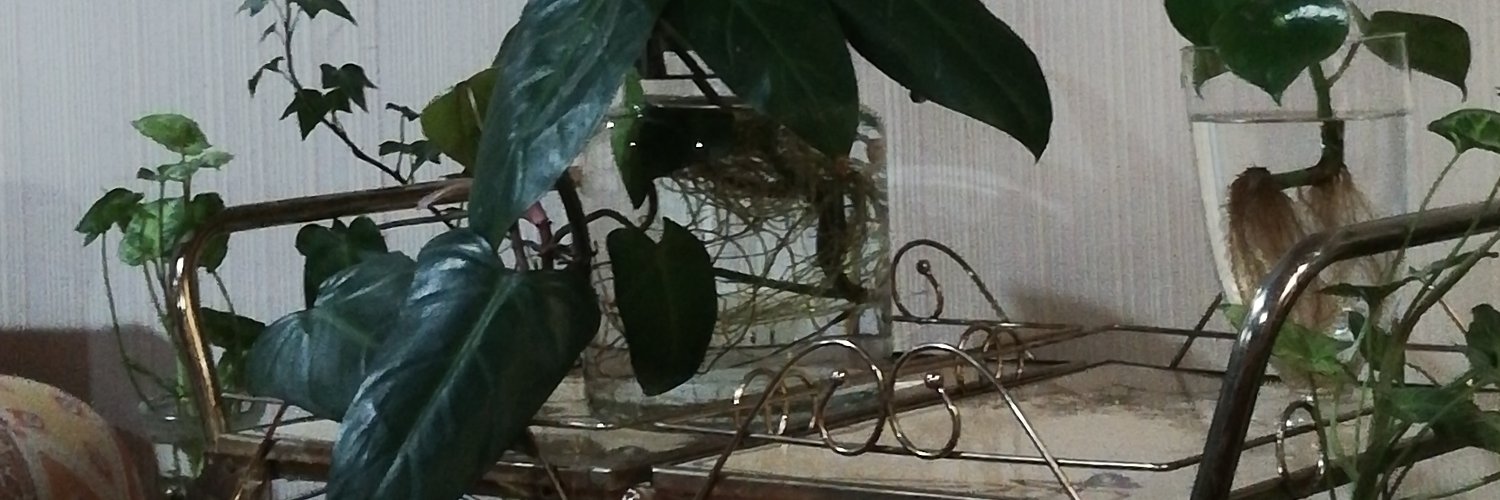 AlanaMelina's profile banner image
