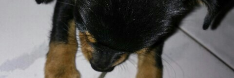 irahwt's profile banner image
