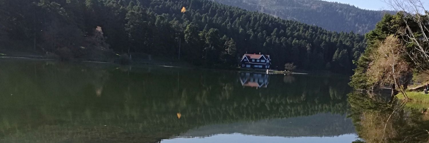 zahide1071's profile banner image