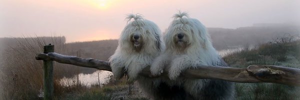 TessaCoates Profile Banner