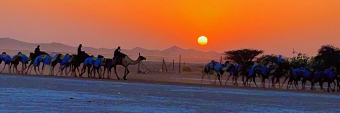 سالم بن متعرض banner
