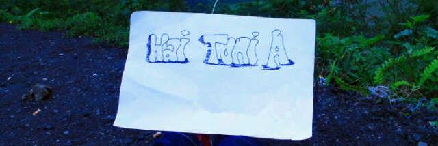 int_Toni's profile banner image