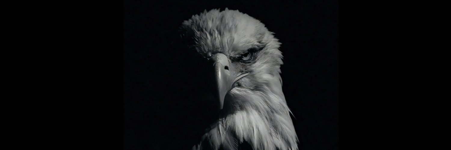 TenderBlast's profile banner image