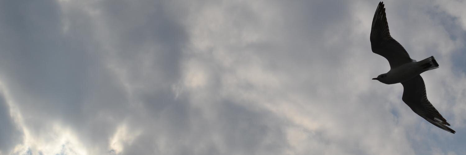 Ghafari's profile banner image