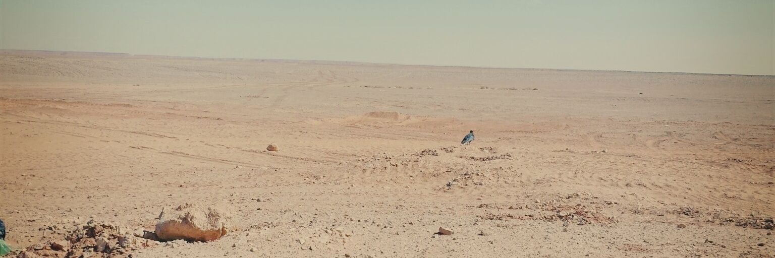 iimadd27's profile banner image