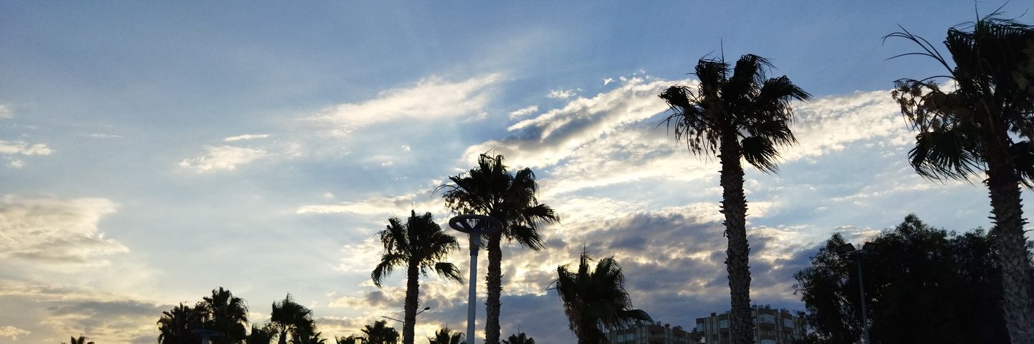 Tuğçe Levent banner