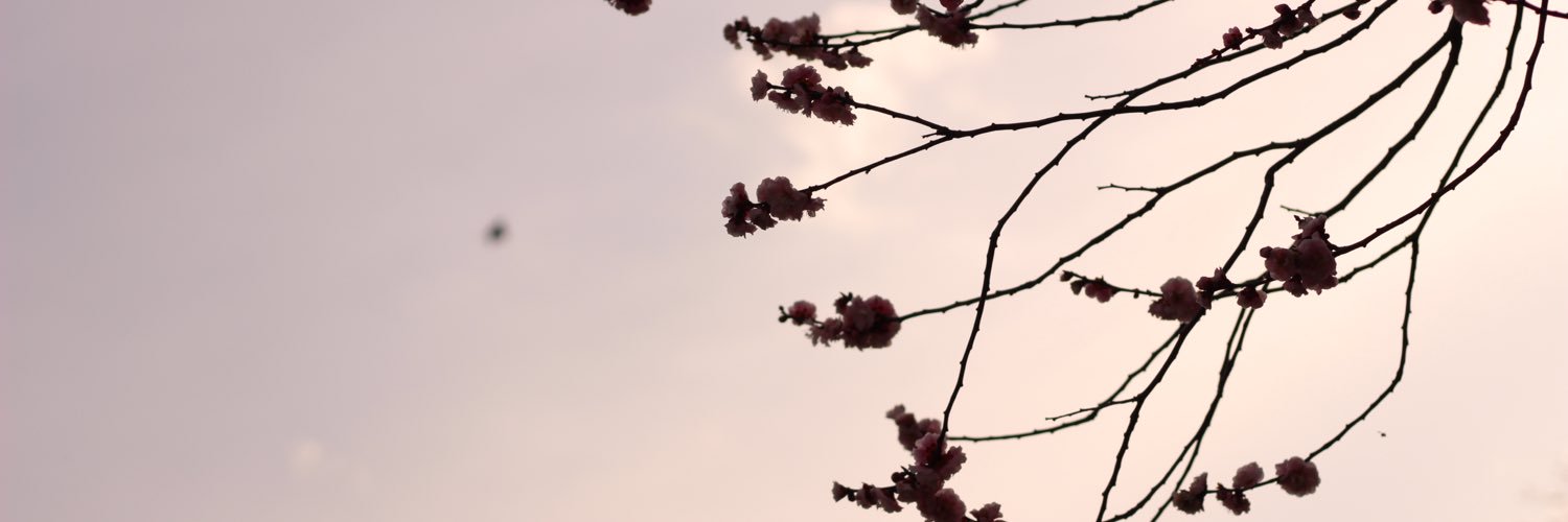 ______ra's profile banner image