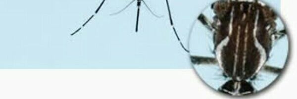 KaruithaMiriam's profile banner image
