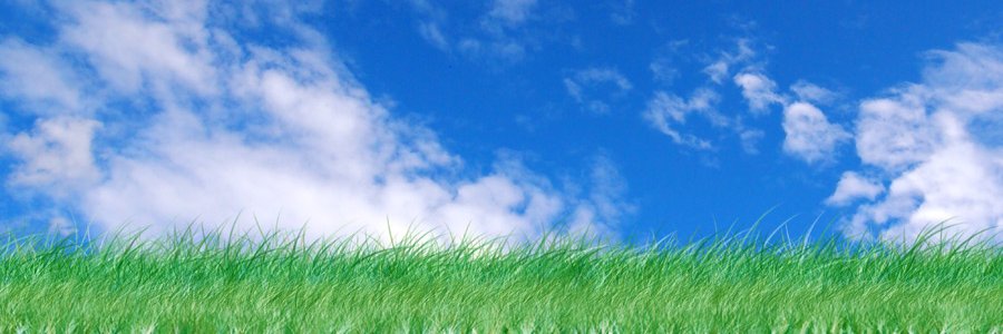 p_mutuki's profile banner image