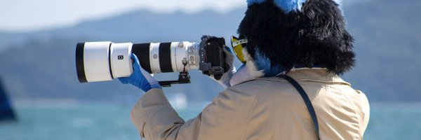 b_foxkonami Profile Banner